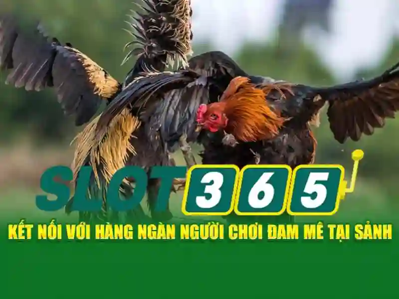 Tính năng bảo mật vân tay và Face ID trên app Slot365