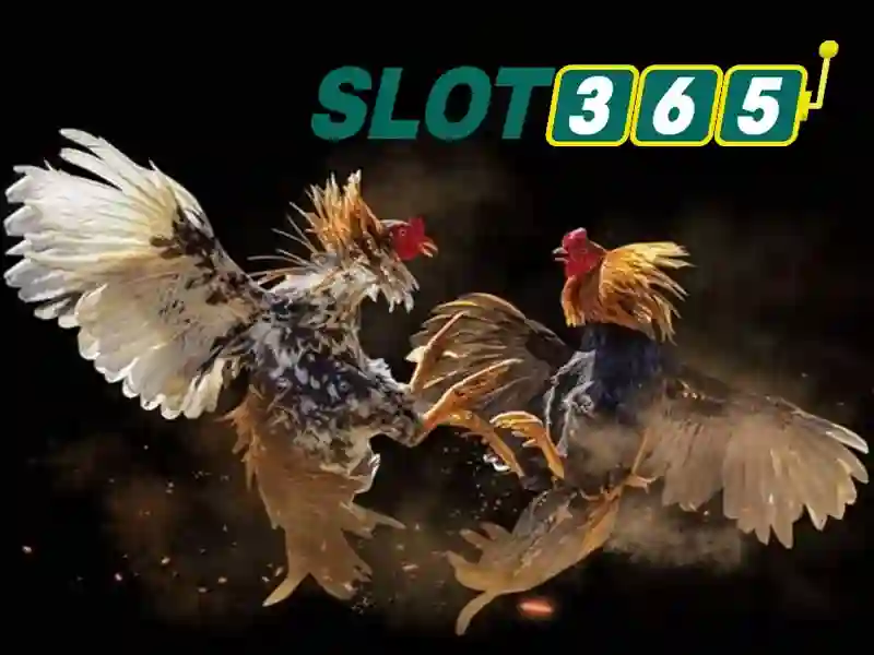 tải Slot365 – Lời giới thiệu đầy cảm hứng
