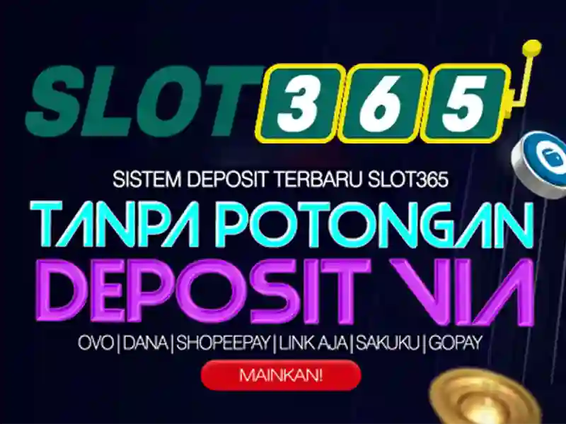 Slot365 app – Giới thiệu nền tảng cá cược di động hiện đại