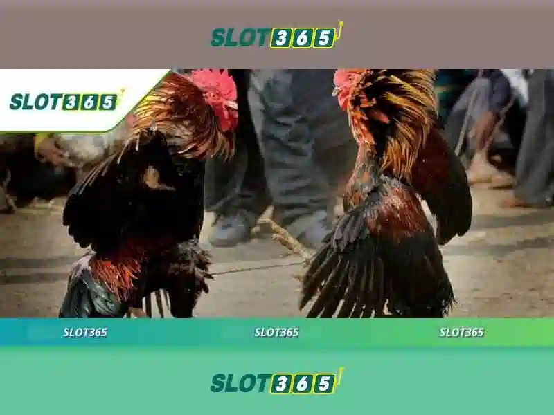 slot365 – Tổng quan từ khóa và sứ mệnh