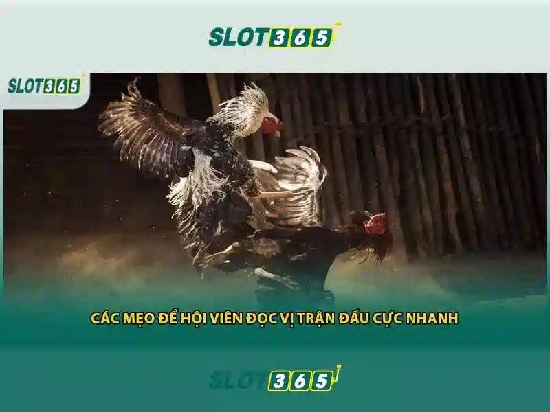 Giao diện nhà cái hoàn hảo