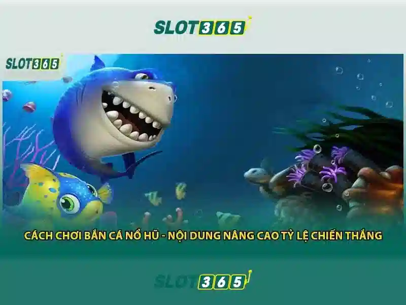 Khuyến mãi và thưởng