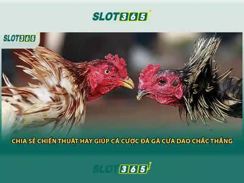 Trò chơi và nhà phát triển<h3>An toàn và phí cược</h3><p><span style=