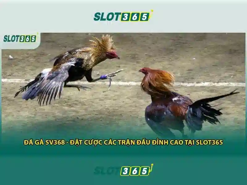 Giao diện nhà cái hoàn hảo