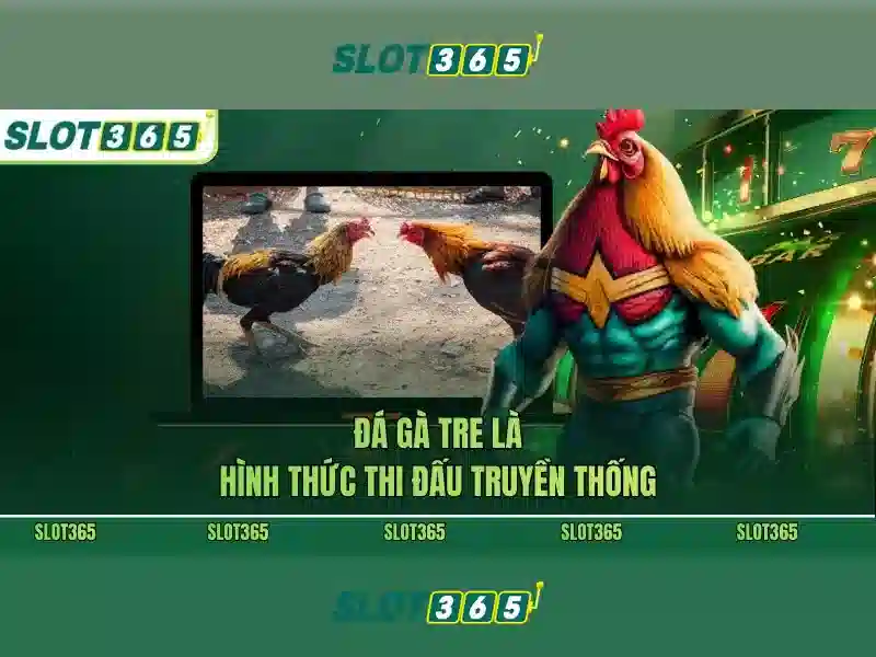 Slot365 là gì?