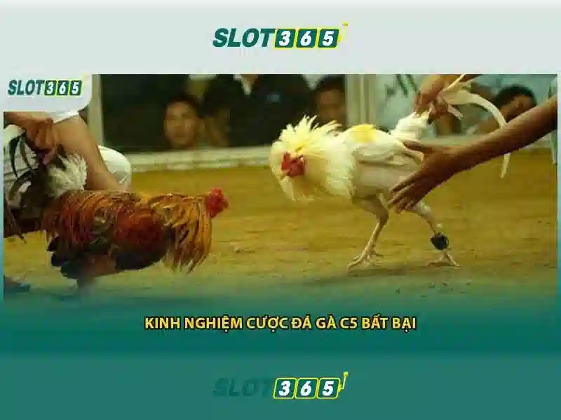 Hướng dẫn đăng ký và nạp tiền