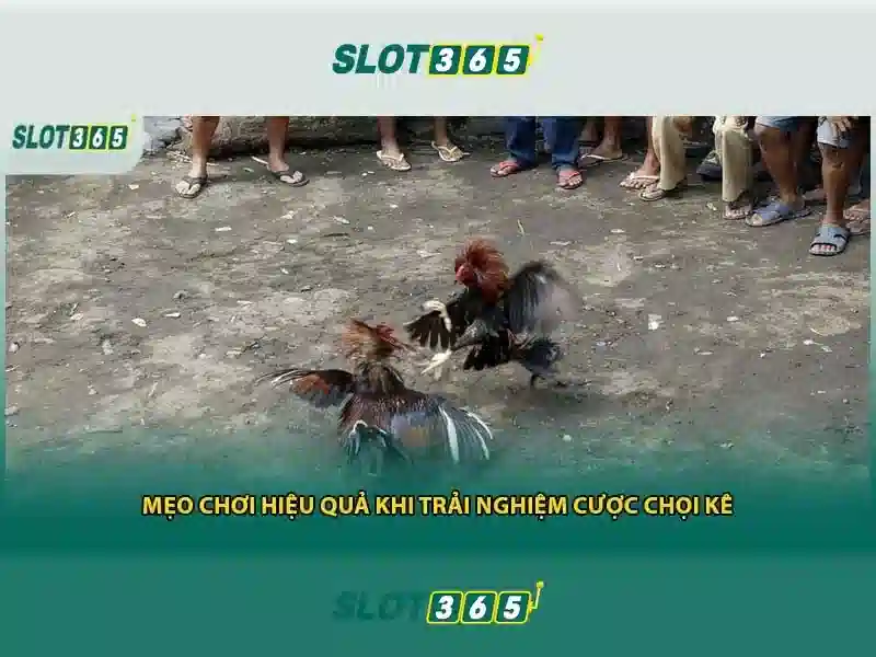 slot365 vip – Tổng quan chủ đề và giá trị cốt lõi