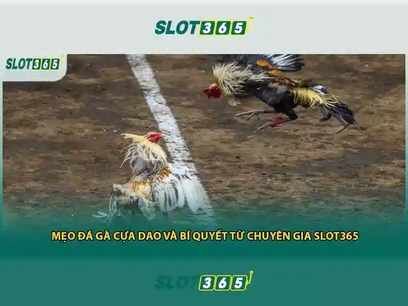 An toàn và thanh toán