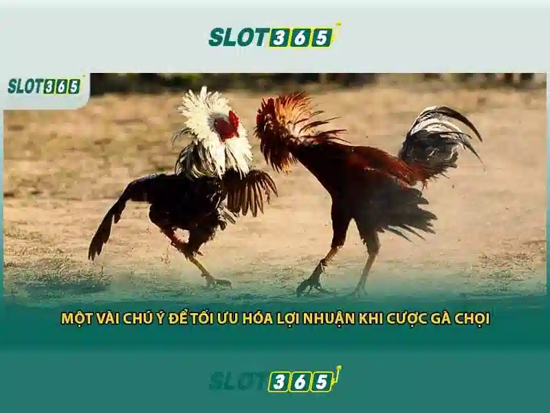 Tính năng nổi bật của Slot365\n\n<h3>Khuyến mãi và ưu đãi</h3>\n<p><span style=