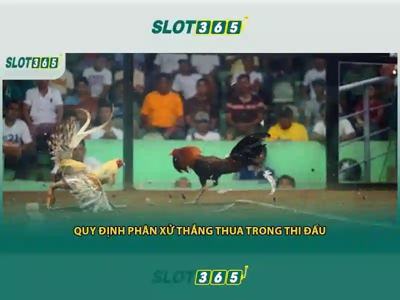 An toàn và công bằng\n<h4>Khuyến mãi và cách bắt đầu</h4>\n<p><span style=
