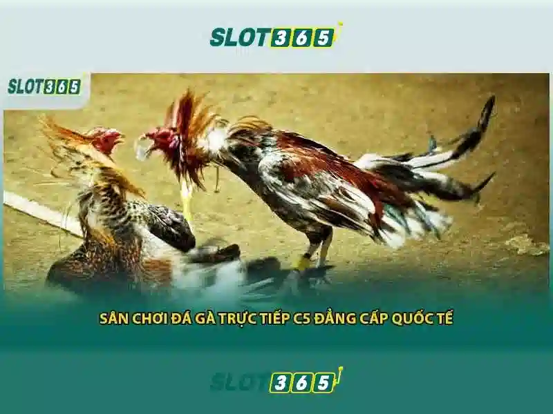 Trải nghiệm chơi game slot nổi bật<h>Kết luận và khuyến mãi</h><p><span style=