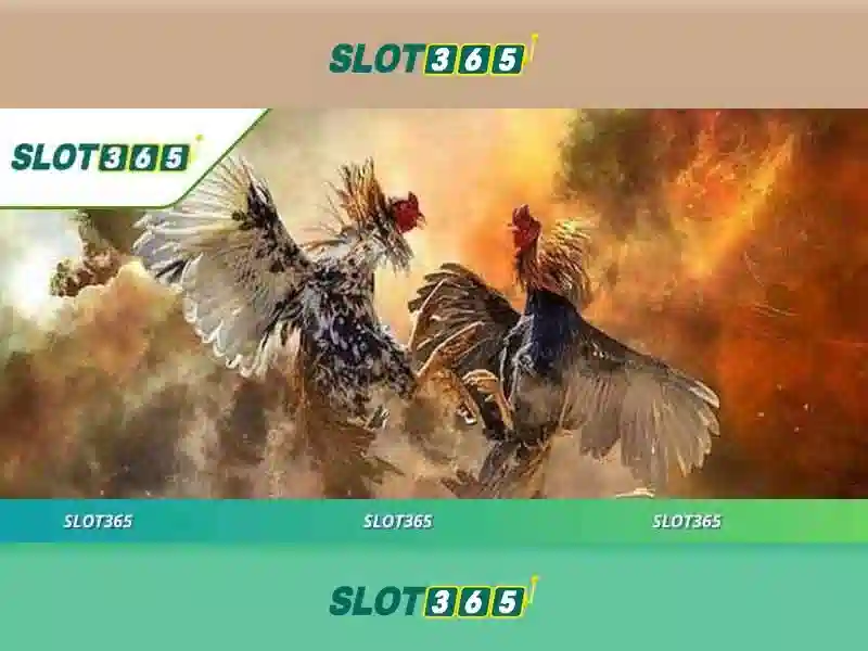 Slot365: Nền tảng chơi slot trực tuyến hàng đầu