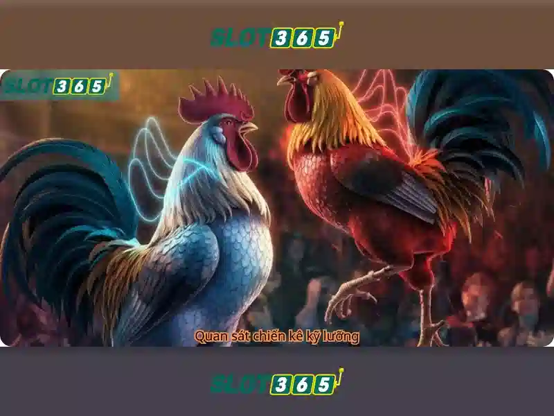 Slot365 là gì? Đánh giá và hướng dẫn chơi slot trực tuyến an toàn Giao diện nhà cái hoàn hảo