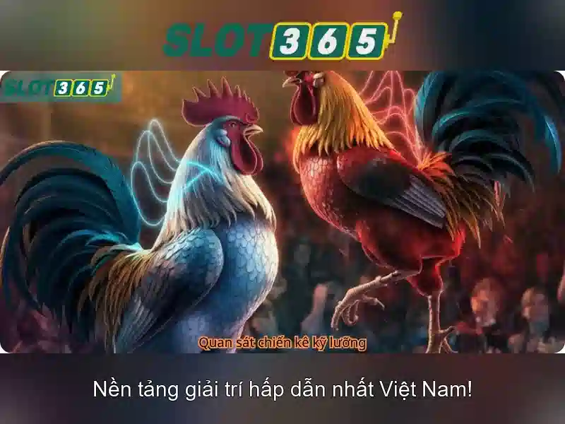 Hướng dẫn bắt đầu nhanh chóng