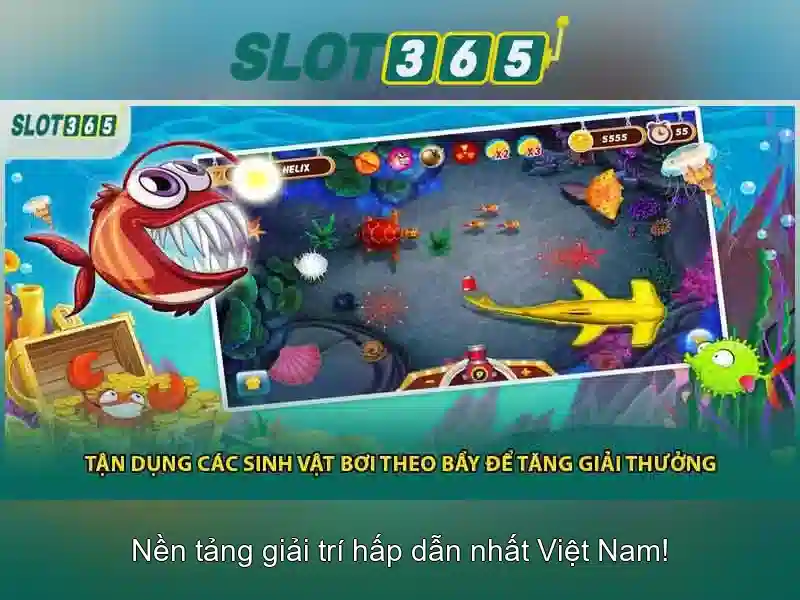 Khuyến mãi và chương trình thưởng