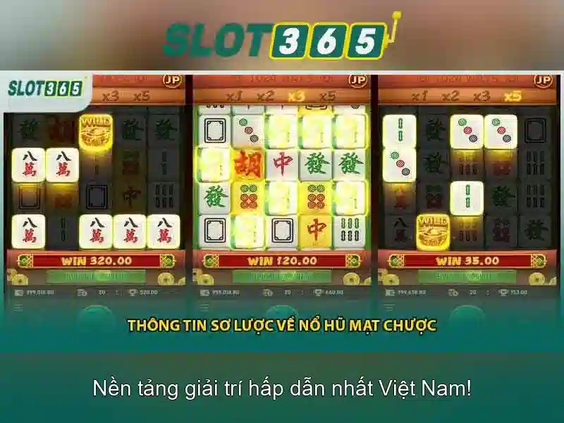 Trải nghiệm người dùng