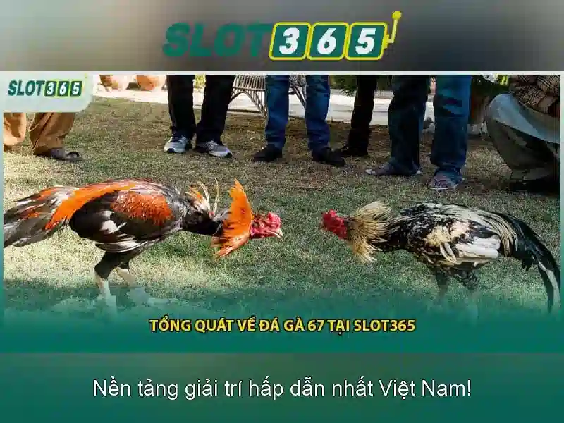 Hướng dẫn nạp rút tiền và hỗ trợ