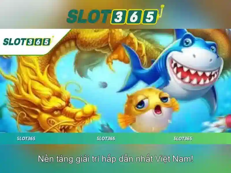 Khuyến mãi và chương trình khách hàng thân thiết