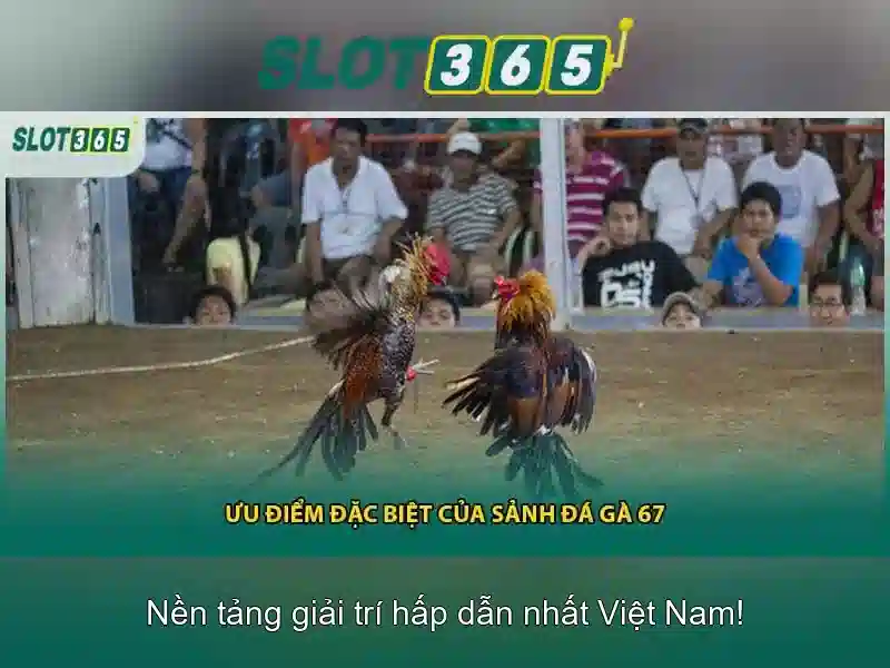 Trải nghiệm người chơi Việt tại Slot365