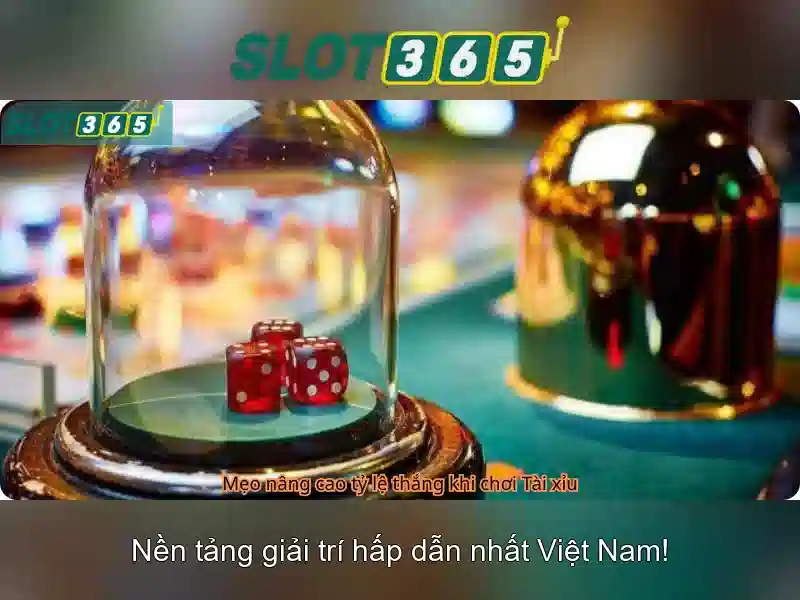 Khuyến mãi và chương trình thưởng