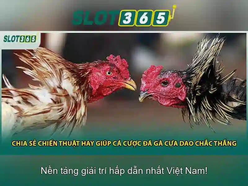 Giao diện nhà cái hoàn hảo