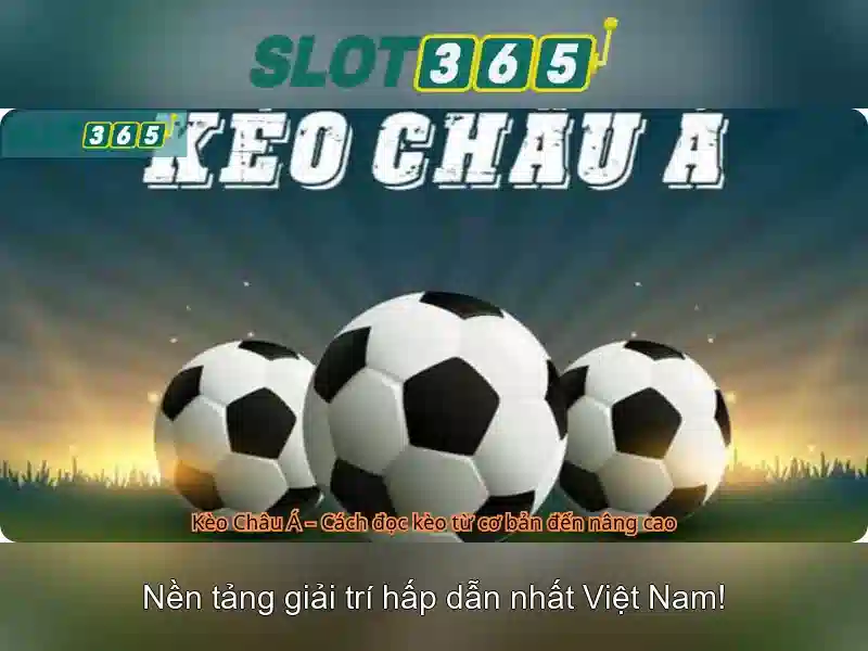 Slot365: Nền tảng máy đánh bạc trực tuyến hàng đầu Giao diện nhà cái hoàn hảo