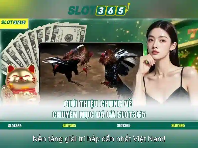 Giao diện nhà cái hoàn hảo