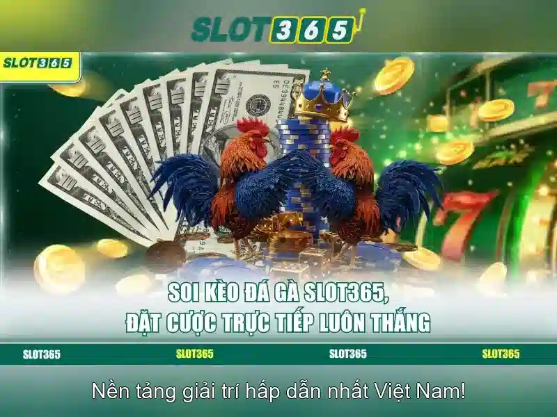 Khuyến mãi và cách nhận thưởng