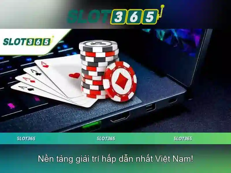 Khuyến mãi và chương trình bạn đồng hành\n<h2><b>Kết luận</b></h2>\n<p><span style=