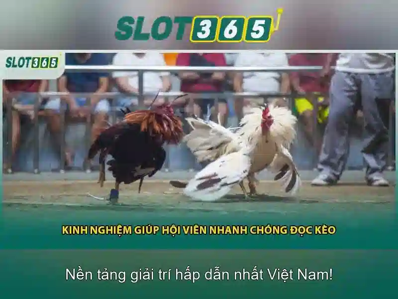 Khuyến mãi hấp dẫn và cách thanh toán an toàn