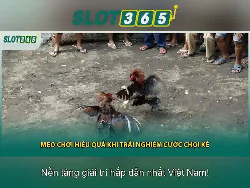 Slot365 - Trải nghiệm đánh bạc trực tuyến an toàn và thú vị Giao diện nhà cái hoàn hảo