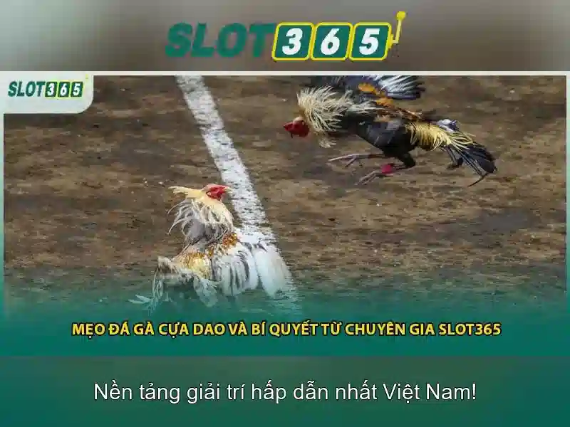 Hướng dẫn chơi và mẹo
