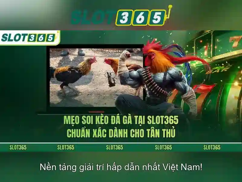 Slot365 - Đánh giá và Những điều cần biết Giao diện nhà cái hoàn hảo