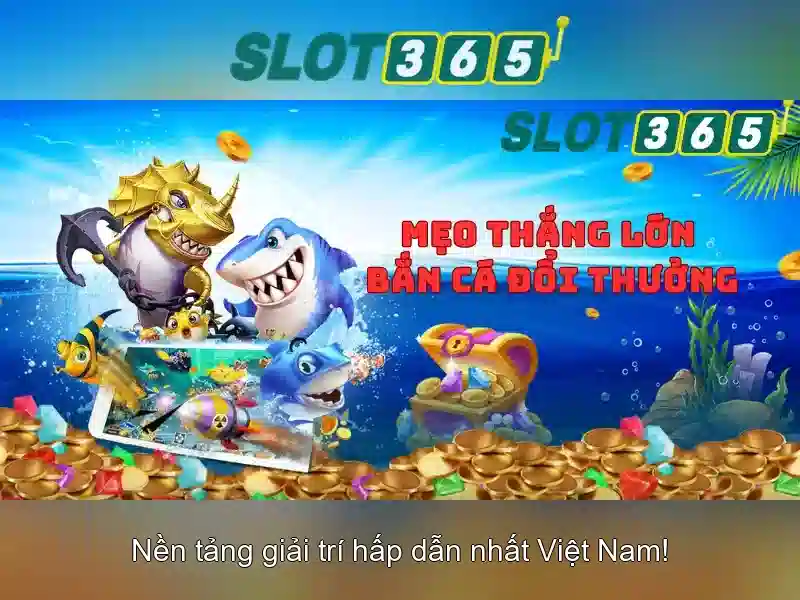 Hỗ trợ khách hàng 24/7 và trải nghiệm di động