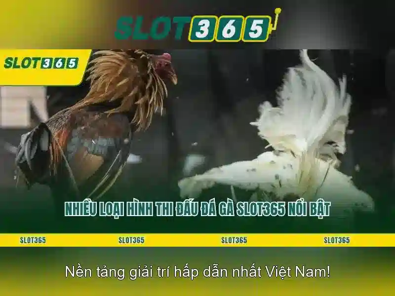 Giao diện nhà cái hoàn hảo