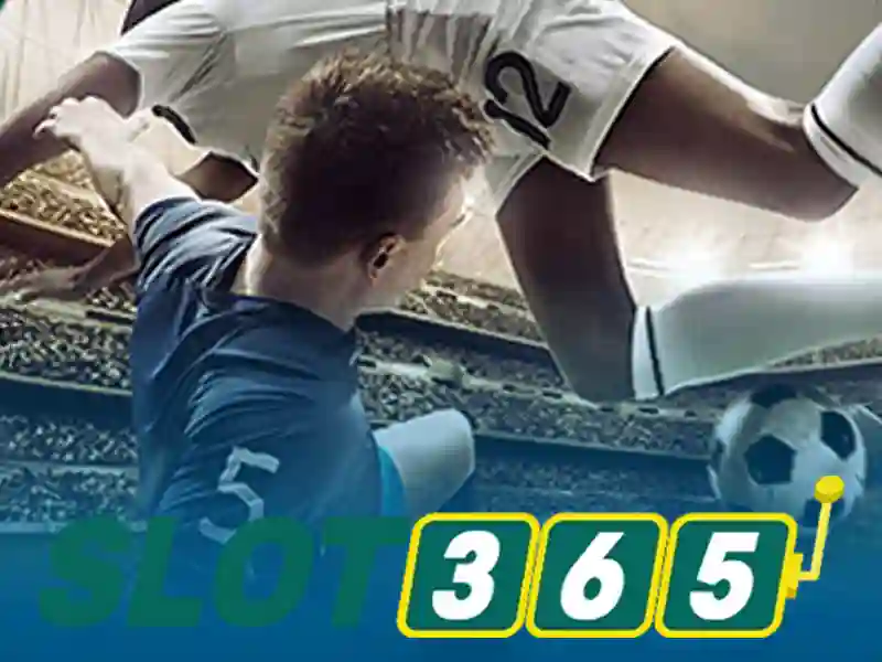 Trải nghiệm người dùng và phản hồi cộng đồng