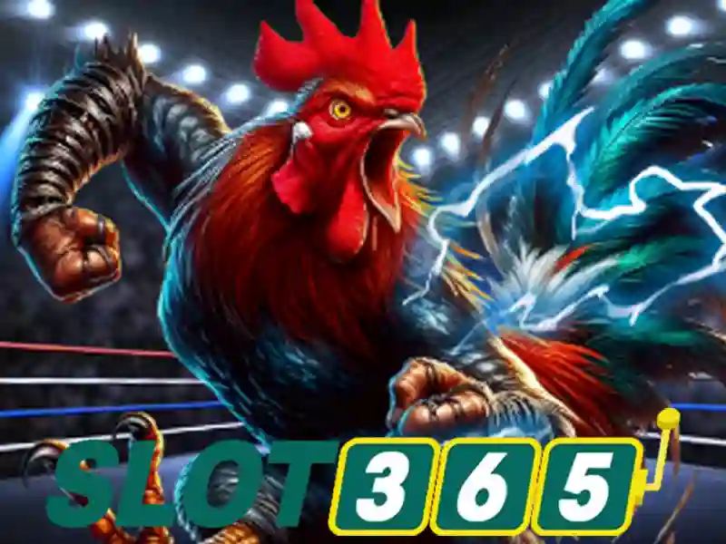 khuyến mãi Slot365 – Giới thiệu đầy hứa hẹn