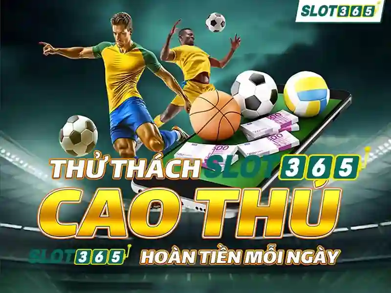 Các đối tác cung cấp kèo cược thể thao uy tín tại Slot365 gồm Saba Sbobet CMD368