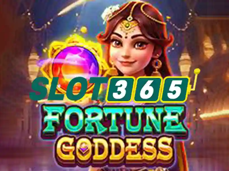 Sản phẩm và dịch vụ cốt lõi: ứng dụng thực tiễn của slot365 tảng 200k